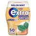 Extra Professional Fresh Chewing Gum Melon Mint 50 Dragees Melon Mint 50 pieces (1 pack)