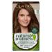 Clairol Natural Instincts Semi-Permanent No Ammonia Hair Dye 5G Medium Golden Brown 5G Medium Golden Brown 1 Count (Pack of 1)
