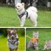 Adjustable Cat Leash Set - Reflective Vest & Polyester Cat Dishes for Kittens & Dogs | International Shipping Available - Buy Online on GoSupps.com