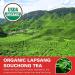 WT WEETEE Organic Lapsang Souchong Tea Bags, USDA Organic Smoky Black Tea 100 Count, Natural Caffeine & Antioxidant, Classic Chinese Tea - Buy Online on GoSupps.com