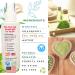 Tea Tree Vaginal Wash for Yeast Infection Treatment, Menopause Odor, BV, Itch Relief - All Natural Feminine Care Soap Spray - Buy Online on GoSupps.com