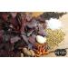 BEEFit Traditional Biltong Beef Jerky | 4x250g | High Protein, Gluten Free, Keto Friendly - Buy Online on GoSupps.com