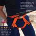 Fusion Climb Centaur Half Body Harness for Fire Rescue, Caving, Rock Climbing - Adjustable Waist Safety Belt (TCH-107-2139-ORG) - Buy Online on GoSupps.com