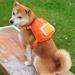 Zonewd Dog Dishes & Backpack | Waterproof School Bag for Puppies - Double D Ring Design for Samojede & Golden Retriever | Shop Internationally - Buy Online on GoSupps.com
