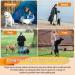 Mi Metty Dog Cable 10ft - Kausproof Leash for Large Dogs (up to 253lbs) | Outdoor Dog Runner Tether Line - Durable Orange Garden Leash - Buy Online on GoSupps.com