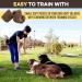 BRUTUS & BARNABY Peanut Butter & Banana Training Treats for Dogs - 8oz Pack - All-Natural Vegan Reward for Puppy Training - Buy Online on GoSupps.com