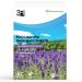 Laundry Detergent Sheets - 3R Factory LAVENDER Fresh Scent ECO-Friendly Washing Detergent Sheet Travel Friendly Laundry Detergent Strips Hypoallergenic Laundry Soap No Plastic Jug 30 Sheets 60 Loads