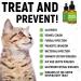 GoldenPaw Herbal Pet Supplement for Cats - Natural Support for Feline Health - Buy Online on GoSupps.com