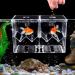 WEAVERBIRD Fish Breeder Box Clear Acrylic Aquarium Isolation Hatchery Feeding Boxes Perfect Isolator for Aggressive Fish Injured Fish Small Fish Shrimp Clownfish with 2pcs Sucker and Hook XL(Double Box) - Buy Online on GoSupps.com