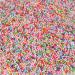 2300ML Foam Balls Polystyrene Beads for Slime & DIY Crafts - 2-3mm Colorful Foam Beads for Kids - Party Decoration - Buy Online on GoSupps.com