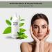 Rau Cosmetics Body Lotion for Dry Skin 500ml - Moisturizing & Tightening with White Tea Hyaluronic Acid Almond Oil Olive Oil & Coconut Oil - Buy Online on GoSupps.com