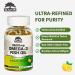 Oaks Nutrition Omega 3 Fish Oil 3600mg | Triple Strength Burpless Softgels | 2160mg Omega-3s with 1300mg EPA & 860mg DHA | Ultra Purified Wild Caught Lemon Flavor 120 Softgels 60 Day Supply - Buy Online on GoSupps.com