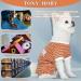 Tony Hoby Shirts for Dogs | Soft & Breathable Striped Dog T-Shirt for Small to Large Dogs - XS Orange - Buy Online on GoSupps.com