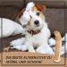 Supravit Natural Chewing Bones for Dogs | Exciting Coffee Wood Dog Toys | Long-Lasting Chewing Fun | Caustab Chewing Wood - Buy Online on GoSupps.com
