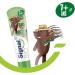 Signal Kids Organic Children's Toothpaste Mint Flavor of Natural Origin 50 ml - Buy Online on GoSupps.com