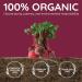 Organic Beet Root Capsules 1300mg - Blood Pressure Support & Nitric Oxide Supplement | Antioxidant & Brain Food | Vegan 60 Ct - Superfood for Better Circulation - Buy Online on GoSupps.com