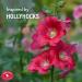 Perky-Pet 91RF Replacement Red Hollyhock Flower Ports & Perches-6 Pk - Buy Online on GoSupps.com