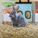 Rabbit Hay Feeder Bag Guinea Pig Hay Feeder Storage Racks 600d Oxford Cloth Fabric Hanging Feeding Hay for Hamsters Bunny Small Animals (Blue) - Buy Online on GoSupps.com