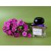 ANDRE L AROM - Eau de parfum made in France original for women - 1.6fl.oz. / 50 ml - from Grasse (GRANDI FLORA Oriental & Spicy ) - Buy Online on GoSupps.com