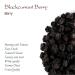 Organic Black Currant Berry 200g - Unsweetened Dried Fruit for Baking - Buy Online on GoSupps.com