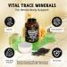 Maju Superfoods Mental Mushrooms Powder Black Seed Oil and Mineral Replenish Capsules - Buy Online on GoSupps.com