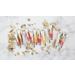 KISS Ruby Kisses Crystal Shine Lip Gloss TLG12 - Clear | Shop Internationally for Glossy Lips - Buy Online on GoSupps.com