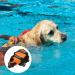 Reflective Dog Life Jacket for Small Dogs (0-3 kg) - Size XXS Orange | Safe & Stylish Water Safety Gear - Buy Online on GoSupps.com