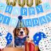 Dog Birthday Party Accessories | Bandana Hat Banner Set & Balloons - Celebrate with Stylish Decorations in Blue Gold & Black! - Buy Online on GoSupps.com