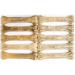 Bontoy Dog Bone - 10 Pieces x 21 cm | Natural Beef Skin Treat | Protein-Rich Chew for Strong Dog Muscles - Buy Online on GoSupps.com