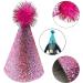 PET SHOW 5pcs Small Dog Birthday Hat Set for Boys Girls Medium Dogs Cat Kitten Puppies Party Hats with 0-9 Numbers 10 Glue dots Grooming Accessories - Buy Online on GoSupps.com