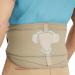 Modvel back bandage lumbar support for the lower back for women men back belt orthopedic posture corrector bandage with belt design back pain relief S/m/l nude s/m/l nude