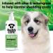 Buy BuddyCare Fell Care Shampoo for Dogs Aloe Vera & Pro-Vitamin B5 Hair Loss Control | 500ml x 3 International Shipping Available - Buy Online on GoSupps.com