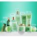 Tea Tree Aromatherapy Home Spa Set | Calming Mint Fragrance | 15-Piece Gift Basket with Bath Oil, Shower Gel, Bubble Bath, Handmade Soap & More - Buy Online on GoSupps.com