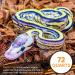 Repick Premium Coconut Substrate - 72L Bio-Reptile Bedding for Ball Pythons & Amphibians - Buy Online on GoSupps.com
