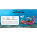 Vitali-T Collation| Snack | 5 Almonds Mix | M lange de 5 amandes | Bo te de 15 x 50 g | Collation nutritive et nergisante | Pratique et facile emporter | L g rement assaisonn de 5 saveurs vari es (BBQ Fum es Soja Citron et Sal es) | Ingr dients de qualit  - Buy Online on GoSupps.com
