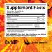 Fuel Point Endurance Training | Superior Carbohydrate Formula for Muscles | Reduce Fatigue & Improve Performance (Raspberry Lemonade) - Shop Internationally - Buy Online on GoSupps.com