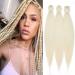 3 Packs Braids EZ Hair Extensions Braiding Synthetic Hair Kanekalon Crochet Synthetic 26 inches Light Blonde 66 cm (3 pieces) 66 cm Light Blonde