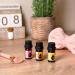Essences Bulgaria Bio Immortelle Essential Oil 5ml | 100% Natural & Vegan | Undiluted & Bio-Certified | Top Quality Helichrysum Italicum | International Shipping Available - Buy Online on GoSupps.com