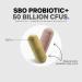 CodeAge Digestion SBO Probiotic+ 50 Billion CFU - 90 Capsules for Gut Health - Buy Online on GoSupps.com