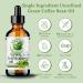 Shop Bella Terra Green Coffee Bean Oil - 1 Gallon for Hair & Skin | Antioxidant-Rich Fast-Absorbing & Non-Greasy - Buy Online on GoSupps.com