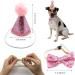 Dher Pet Birthday Set - Pink Sequin Hat & Party Decoration for Dogs & Cats | Festive Birthday Accessories - Buy Online on GoSupps.com