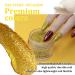 Poudre Ongles 28g Paillettes d'or Dipping Powder Manucure pour Ongles Fran ais Kits Manucure Salon DIY Sans Odeur & Durable Lampe Ongles Non Requise - Buy Online on GoSupps.com