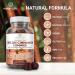 Sugar-Free Ceylon Cinnamon Gummies 2000mg/Serving for Lower Blood Sugar & Joint Pain - Vegan & Gluten-Free Supplement with Brain Health Benefits - Buy Online on GoSupps.com