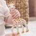 Sophie La Girafe Fresh Touch Box | 100% Natural Rubber Early Learning Toys for Infants | Safe & Eco-Friendly - Buy Online on GoSupps.com