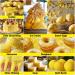 Gel Food Coloring - 80ml Lemon Yellow Gel Based Food Dye Vibrant Tasteless Concentrated Food Coloring for Cake Cookie Decorating Easter Egg Icing Fondant Baking Macaron - 2.71 Fl.Oz Bottles (Christmas) - Buy Online on GoSupps.com