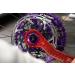 Wolf Tooth Centerlock Rotor Lockring - Gold | Premium Quality - Buy Online on GoSupps.com