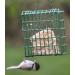 Buy C&S Suet Treats for Wild Birds - 12 Pack | Premium Bird Feed - Buy Online on GoSupps.com