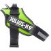Buy IDC Powerharness 2XL/3 - Kiwi Green | International Shipping Available - Buy Online on GoSupps.com