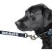 Buy Littlearth Unisex NFL Denver Broncos Premium Leash | Team Color 1x60 - Perfect for Dogs & Broncos Fans - Buy Online on GoSupps.com