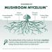 Host Defense MycoBotanicals Capsules - Herbal Supplement with Chaga, Reishi & Maitake Mushrooms - Mushroom Mycelium Supplement for Healthy Balance - 60 Capsules (30 Servings)* - Buy Online on GoSupps.com